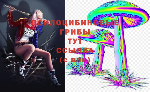 стафф Переславль-Залесский