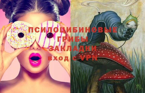 мет Арсеньев
