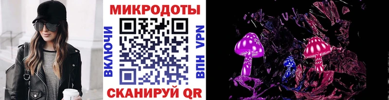 это как зайти  Малая Вишера  Псилоцибиновые грибы Cubensis 